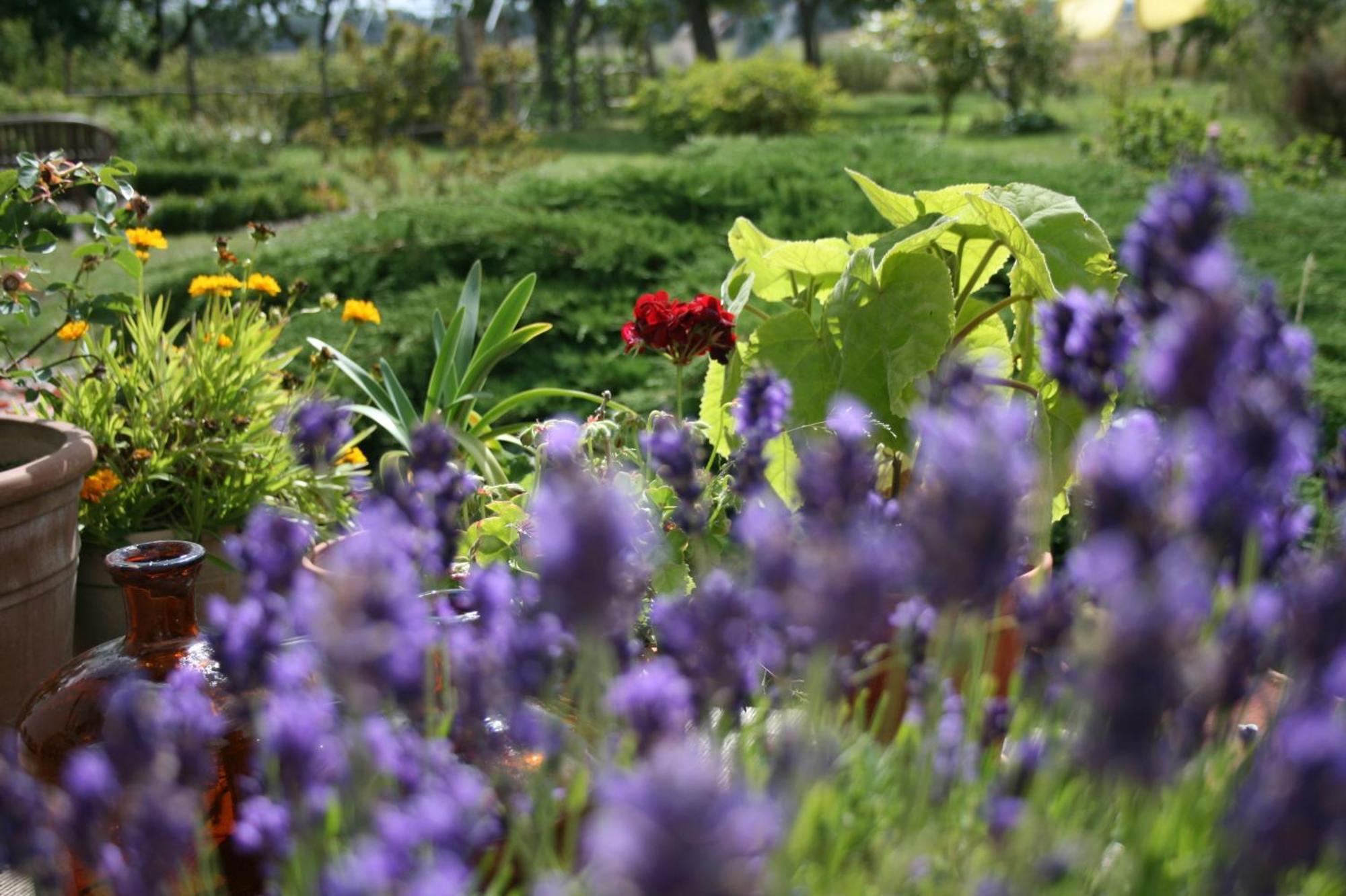 Ostseestuev Boiensdorf 部屋 写真